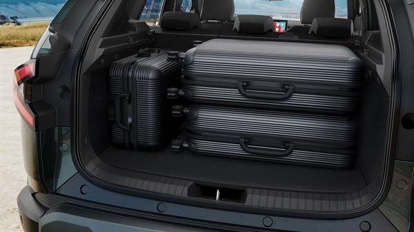 Trunk - Renault Duster
